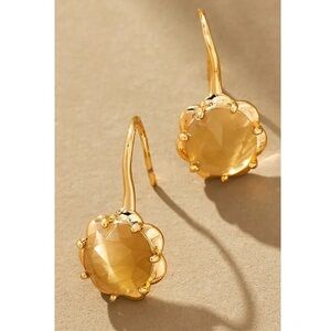 Anthropologie Stone Fishhook Drop Earrings in Brown | NWT